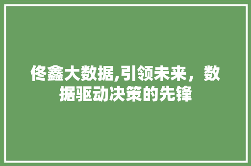 佟鑫大数据,引领未来，数据驱动决策的先锋 神马SEO