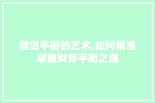借贷平衡的艺术,如何精准掌握财务平衡之路