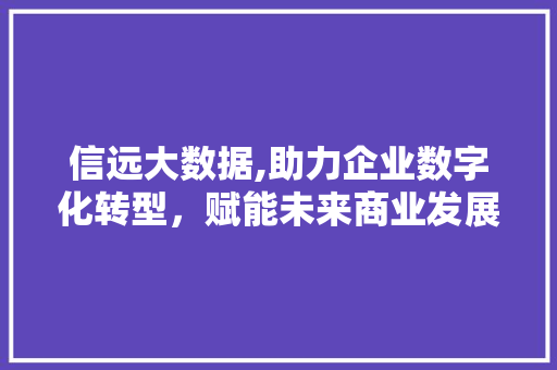信远大数据,助力企业数字化转型，赋能未来商业发展
