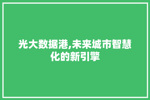 光大数据港,未来城市智慧化的新引擎 SEO关键词