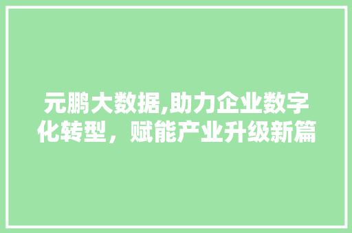 元鹏大数据,助力企业数字化转型，赋能产业升级新篇章