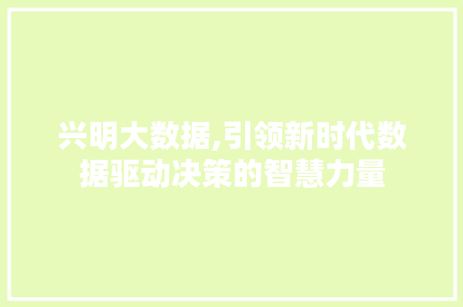 兴明大数据,引领新时代数据驱动决策的智慧力量 搜狗SEO