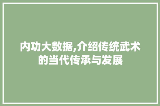 内功大数据,介绍传统武术的当代传承与发展 神马SEO