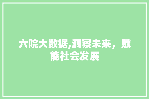 六院大数据,洞察未来，赋能社会发展