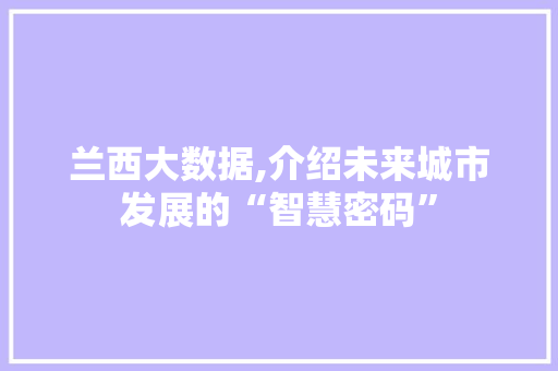 兰西大数据,介绍未来城市发展的“智慧密码” SEO关键词