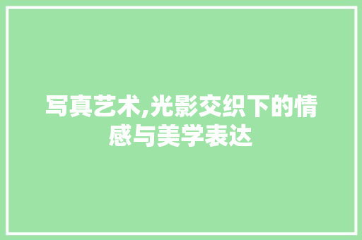 写真艺术,光影交织下的情感与美学表达 搜狗SEO