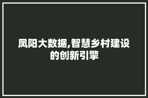 凤阳大数据,智慧乡村建设的创新引擎