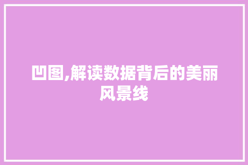 凹图,解读数据背后的美丽风景线 神马SEO