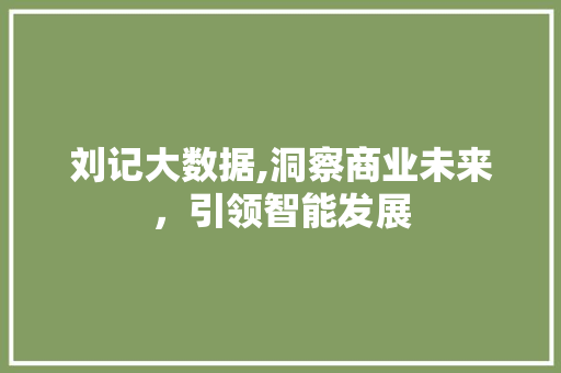 刘记大数据,洞察商业未来，引领智能发展 百度SEO