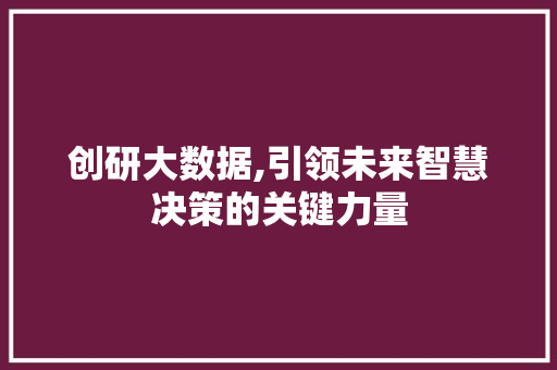 创研大数据,引领未来智慧决策的关键力量 百度SEO