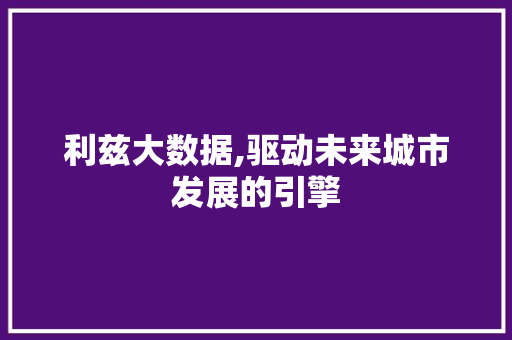 利兹大数据,驱动未来城市发展的引擎 神马SEO