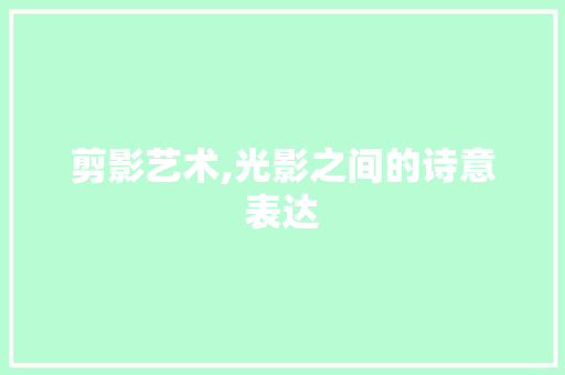剪影艺术,光影之间的诗意表达
