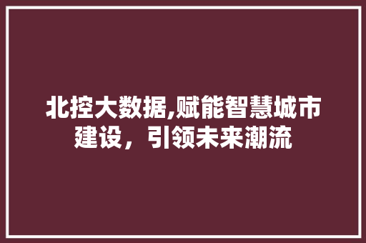 北控大数据,赋能智慧城市建设，引领未来潮流