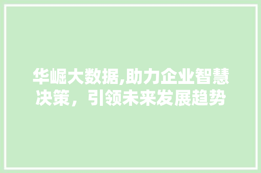 华崛大数据,助力企业智慧决策，引领未来发展趋势