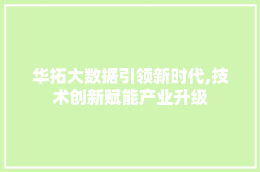 华拓大数据引领新时代,技术创新赋能产业升级