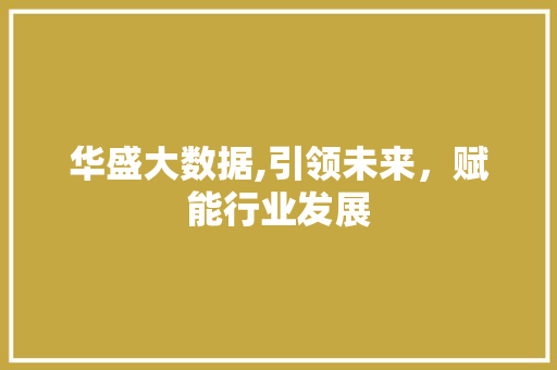 华盛大数据,引领未来，赋能行业发展