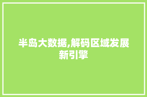 半岛大数据,解码区域发展新引擎