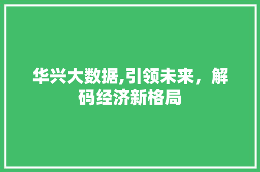 华兴大数据,引领未来，解码经济新格局