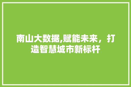 南山大数据,赋能未来，打造智慧城市新标杆 网站建设公司