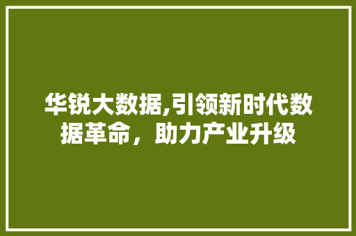 华锐大数据,引领新时代数据革命，助力产业升级 网站建设公司