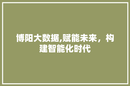 博阳大数据,赋能未来，构建智能化时代
