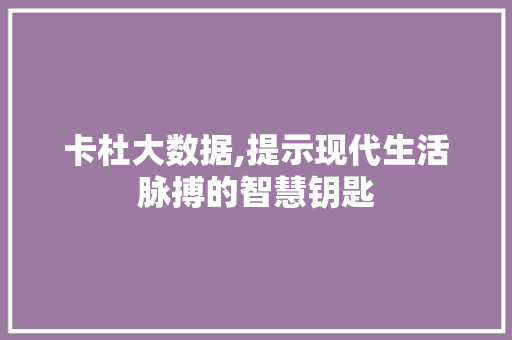 卡杜大数据,提示现代生活脉搏的智慧钥匙