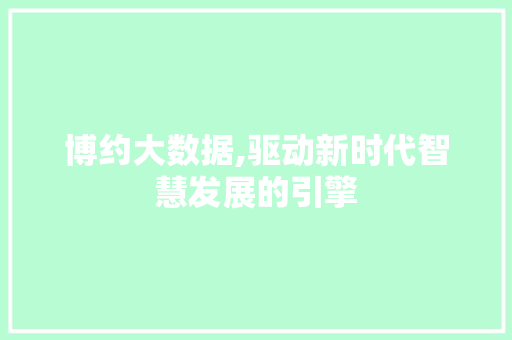 博约大数据,驱动新时代智慧发展的引擎