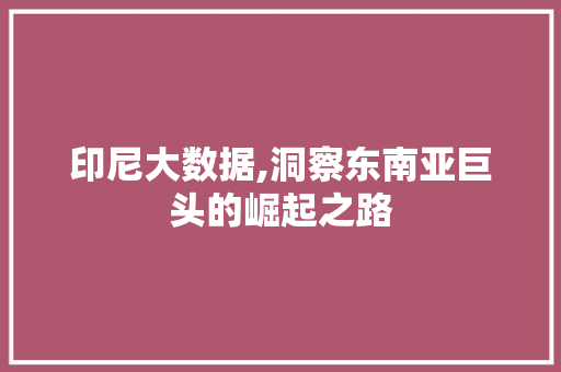 印尼大数据,洞察东南亚巨头的崛起之路