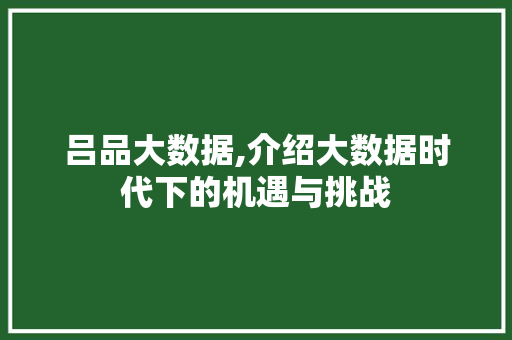 吕品大数据,介绍大数据时代下的机遇与挑战