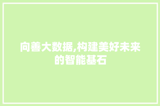 向善大数据,构建美好未来的智能基石