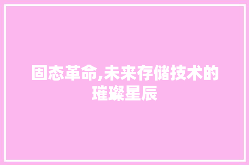 固态革命,未来存储技术的璀璨星辰