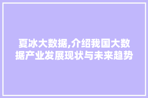 夏冰大数据,介绍我国大数据产业发展现状与未来趋势 百度SEO