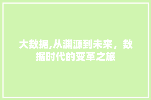 大数据,从渊源到未来，数据时代的变革之旅