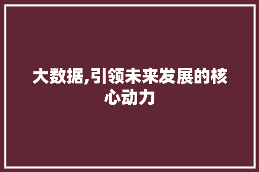 大数据,引领未来发展的核心动力