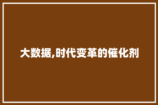 大数据,时代变革的催化剂 神马SEO