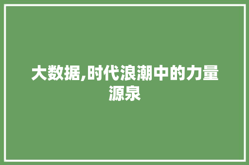 大数据,时代浪潮中的力量源泉 网站建设公司