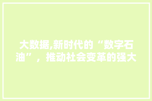 大数据,新时代的“数字石油”，推动社会变革的强大引擎