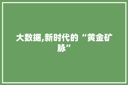 大数据,新时代的“黄金矿脉”
