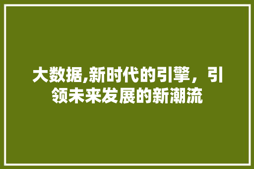 大数据,新时代的引擎，引领未来发展的新潮流 网站建设公司