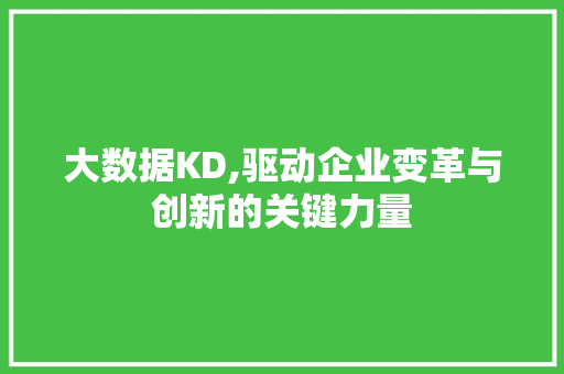 大数据KD,驱动企业变革与创新的关键力量 神马SEO