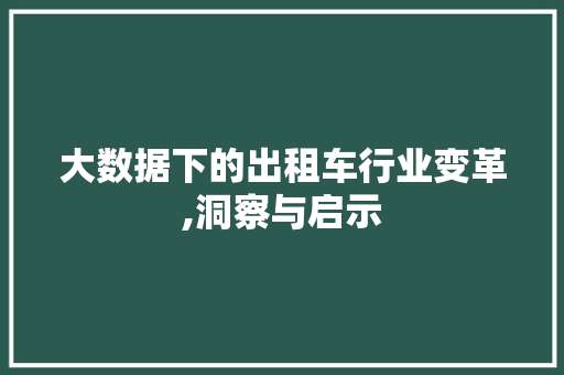 大数据下的出租车行业变革,洞察与启示 百度SEO