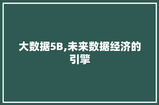 大数据5B,未来数据经济的引擎 大数据5B,未来数据经济的引擎