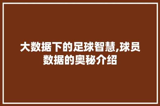 大数据下的足球智慧,球员数据的奥秘介绍 神马SEO