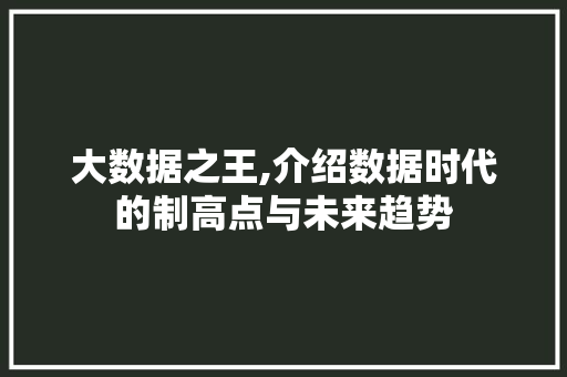 大数据之王,介绍数据时代的制高点与未来趋势 百度SEO