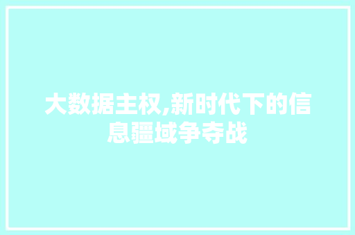 大数据主权,新时代下的信息疆域争夺战 必应SEO