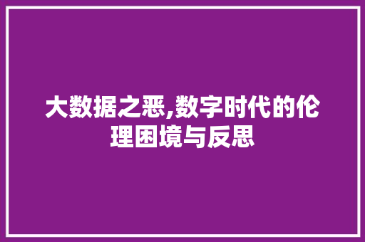 大数据之恶,数字时代的伦理困境与反思 SEO关键词