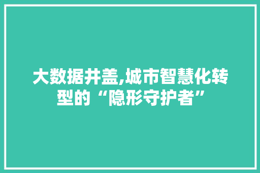 大数据井盖,城市智慧化转型的“隐形守护者”