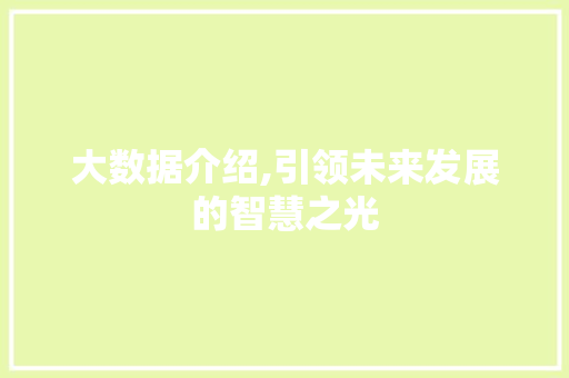 大数据介绍,引领未来发展的智慧之光 神马SEO