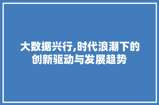 大数据兴行,时代浪潮下的创新驱动与发展趋势 必应SEO