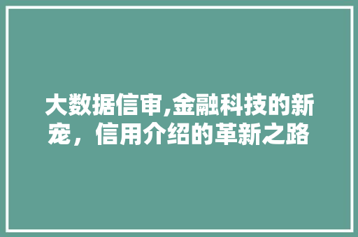 大数据信审,金融科技的新宠，信用介绍的革新之路 百度SEO